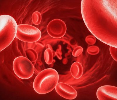 Sanofi Acquires Bioverativ and Ablynx, Strengthens Position in Rare Blood Disorders