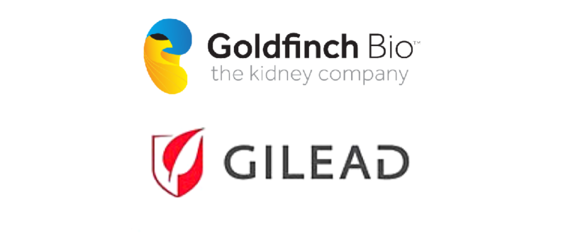 Goldfinch Bio Partners with Gilead Sciences on Novel Therapies for Kidney Disease