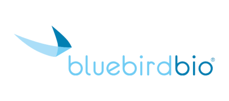 Bluebird Bio Sickle Cell Therapy Wins FDA Priority Review